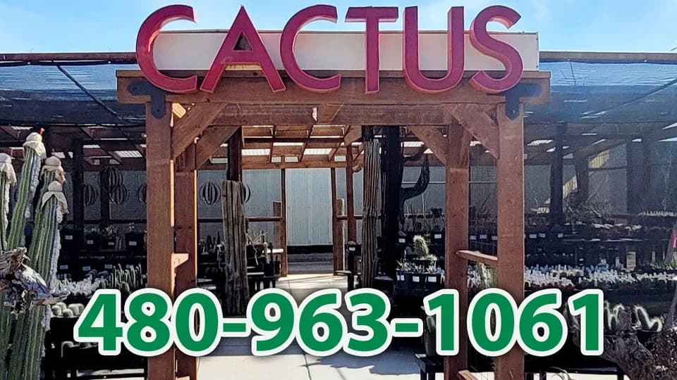 Arizona Cactus Sales plant shop in Chandler, Arizona