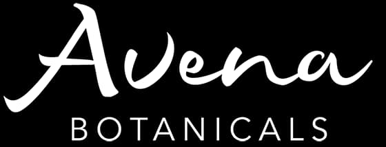 Avena Botanicals plant shop in Rockport, Maine