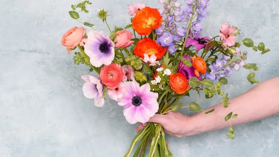 Carolina Flowers: Farm & Florist plant shop in Asheville, North Carolina