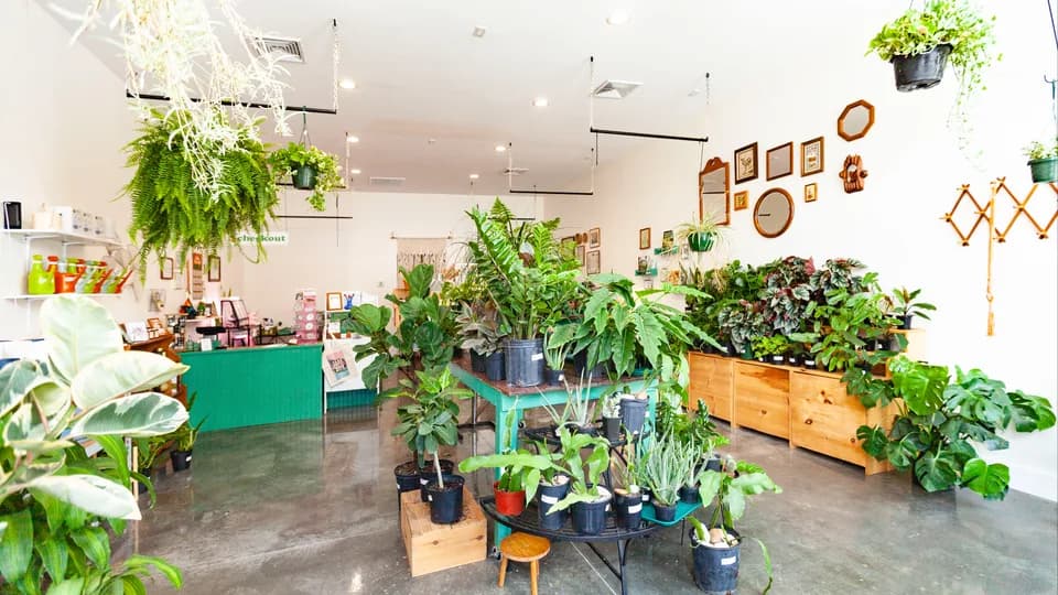 Cast & Grey Botanical plant shop in Savannah, Georgia