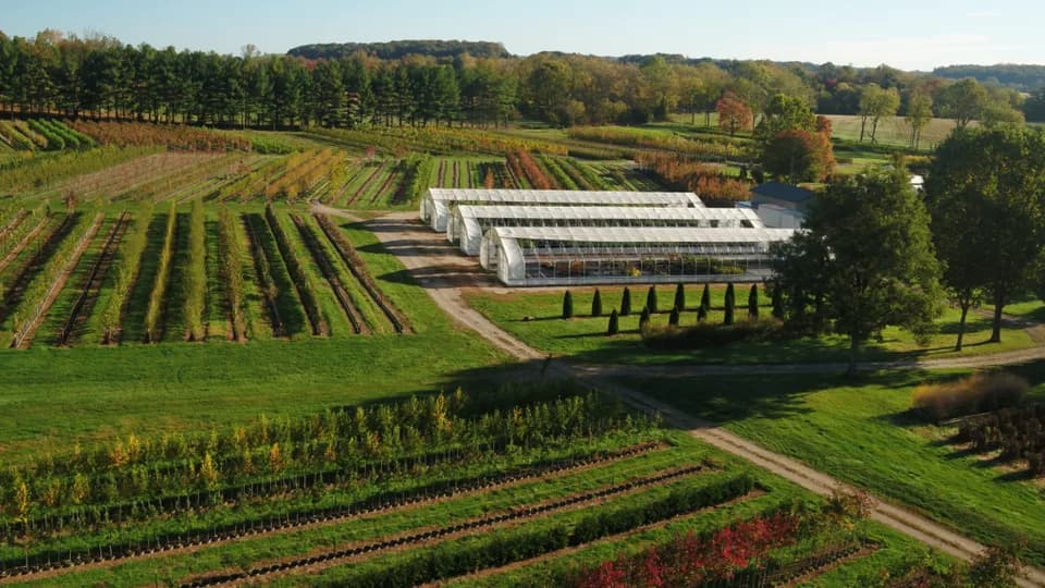 Clear Ridge Nursery Inc plant shop in Union Bridge, Maryland