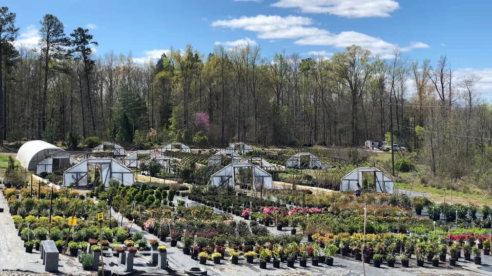 Gardener Nursery plant shop in Richmond, Virginia