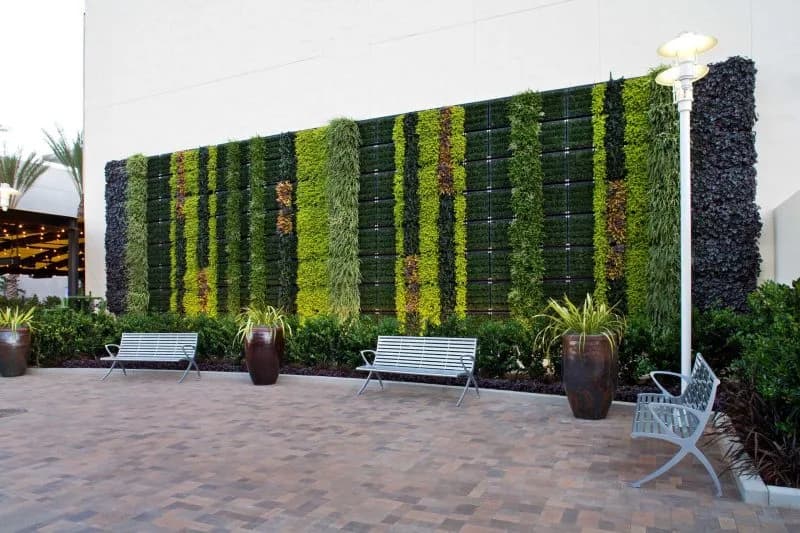 Good Earth Plant Company, Inc. plant shop in San Diego, California