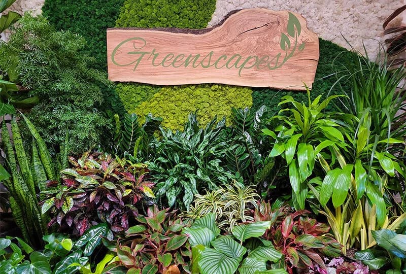 Greenscapes Boutique plant shop in Boise, Idaho