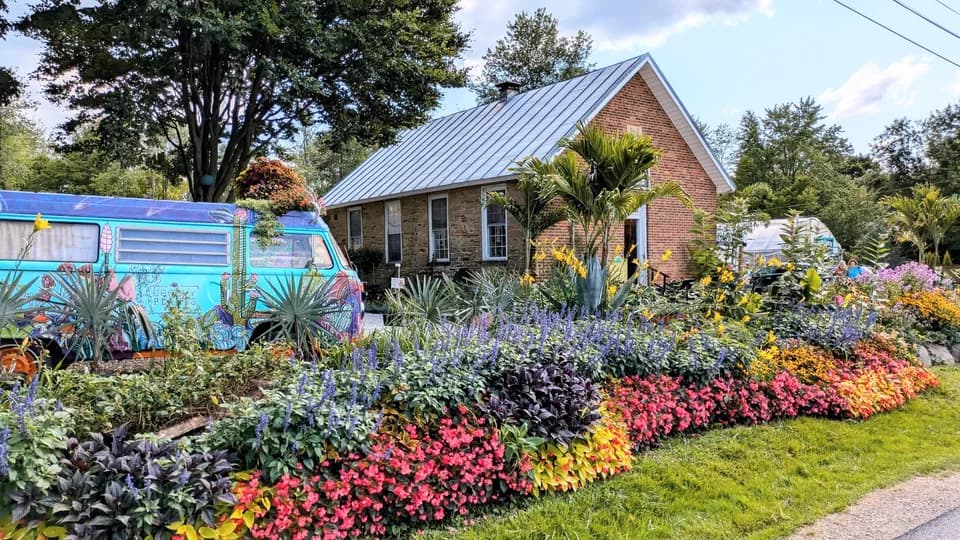 Groovy Plants Ranch plant shop in Marengo, Ohio