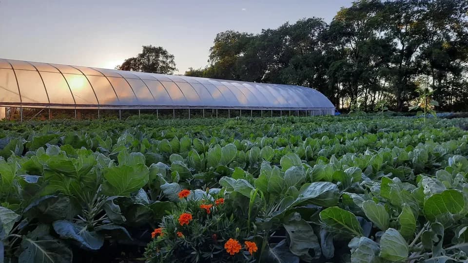 Hildebrant Farm plant shop in West Fargo, North Dakota