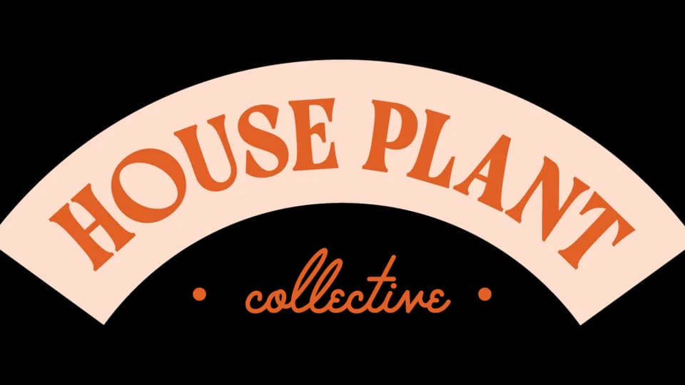 House Plant Collective plant shop in Birmingham, Alabama