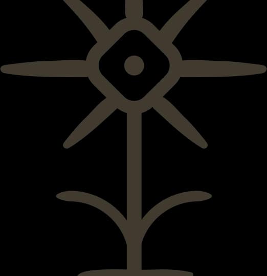 Kootenai Organics (formerly MT Medicinals) plant shop in Missoula, Montana