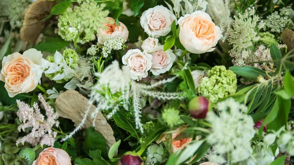 Lily Forest Designs plant shop in Madison, Wisconsin
