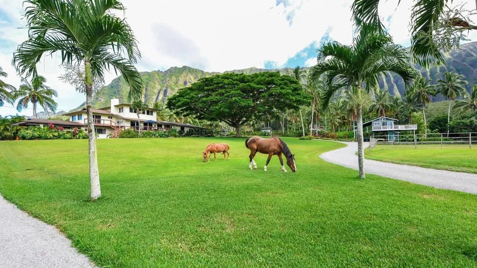 Open Palms Plantation plant shop in Waimanalo, Hawaii