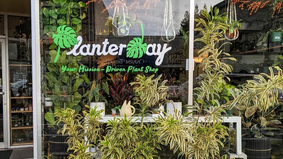 Planterday plant shop in Oakland, California