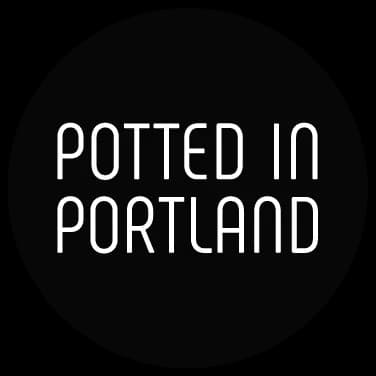 Potted In Portland plant shop in Portland, Oregon