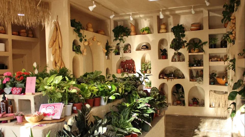 Raíz plant shop in Oakland, California