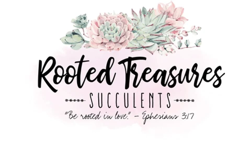 Rooted Treasures Succulents plant shop in Austin, Texas