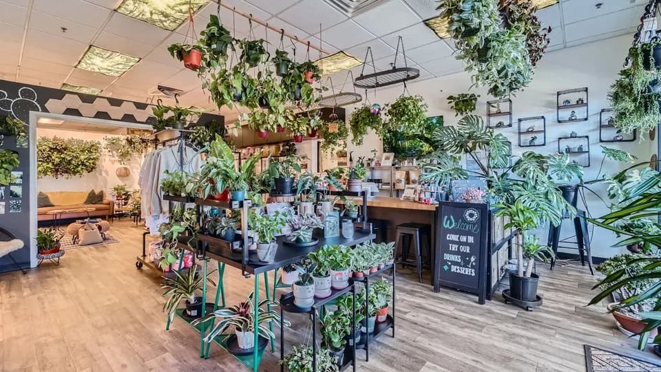 Rooting For You plant shop in Las Vegas, Nevada