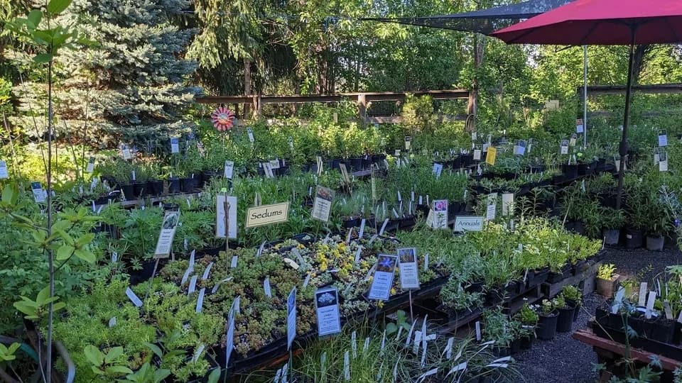 Sauvie Island Natives Nursery plant shop in Portland, Oregon