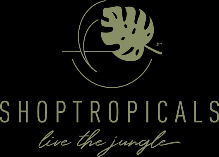 ShopTropicals plant shop in West Palm Beach, Florida