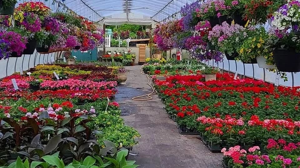 Shoreline Garden Center plant shop in Clinton, Connecticut