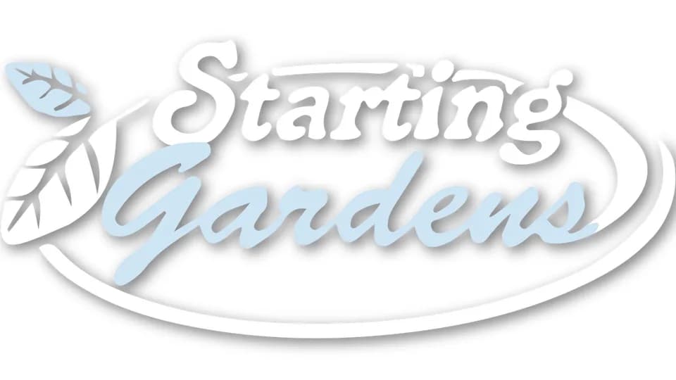 Starting Gardens plant shop in Etowah, North Carolina