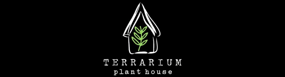 TERRARIUM PLANT HOUSE plant shop in Tomball, Texas