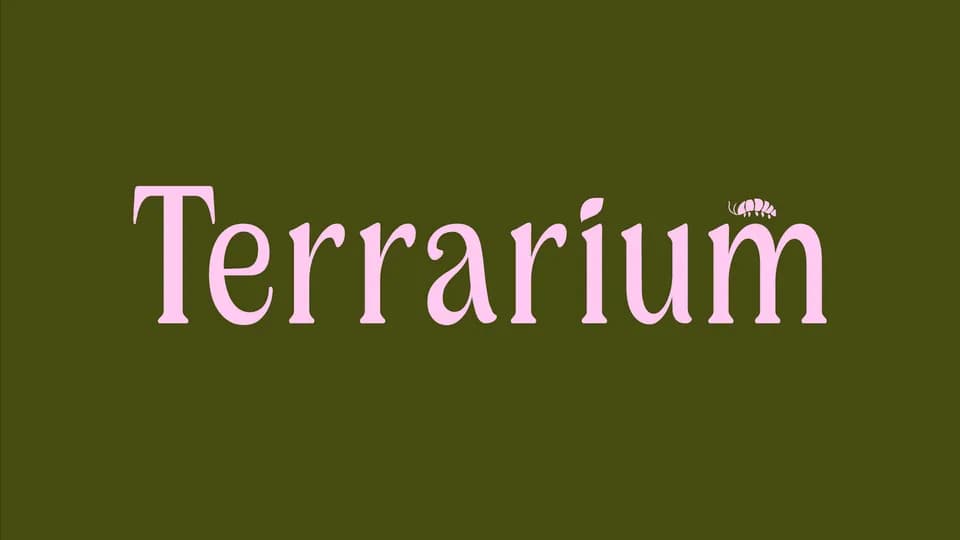 Terrarium plant shop in Portland, Maine