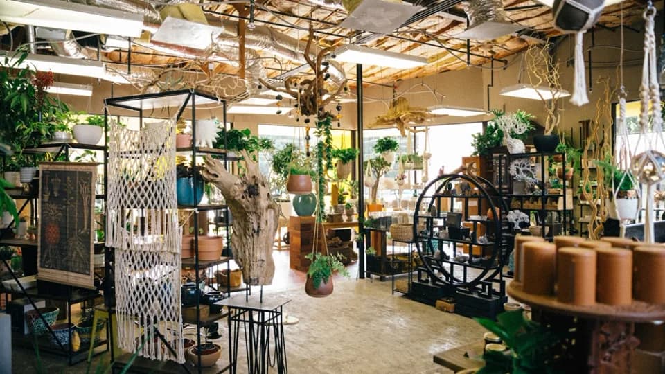The Juicy Leaf plant shop in Los Angeles, California