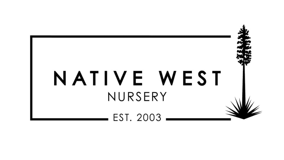 The Little Barn at Native West Nursery plant shop in San Diego, California