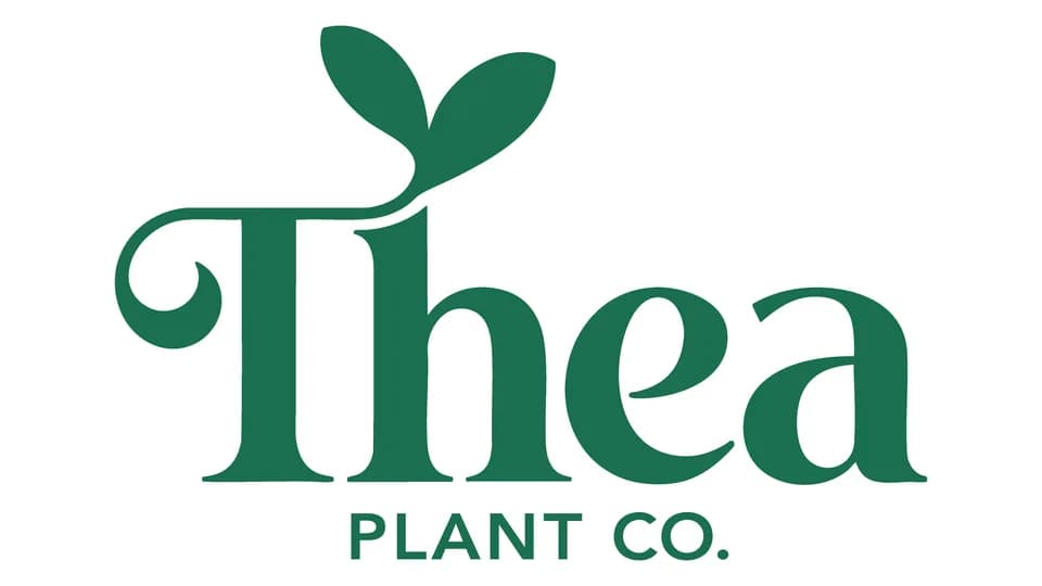 Thea Plant Co. plant shop in Providence, Rhode Island