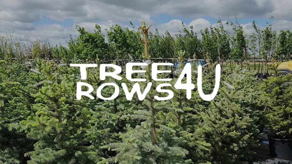 Tree Rows 4 U plant shop in Bismarck, North Dakota