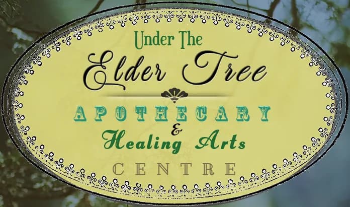 Under The Elder Tree Apothecary & Healing Arts Centre plant shop in Wheeling, West Virginia