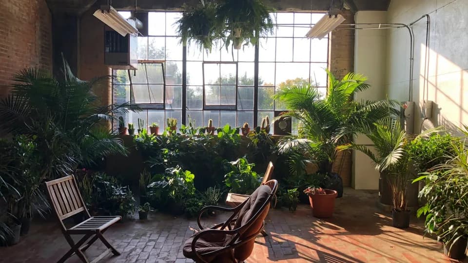 Urban Planting Cleveland plant shop in Cleveland, Ohio