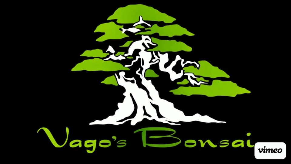 Vago's Bonsai Nursery plant shop in Town 'N' Country, Florida