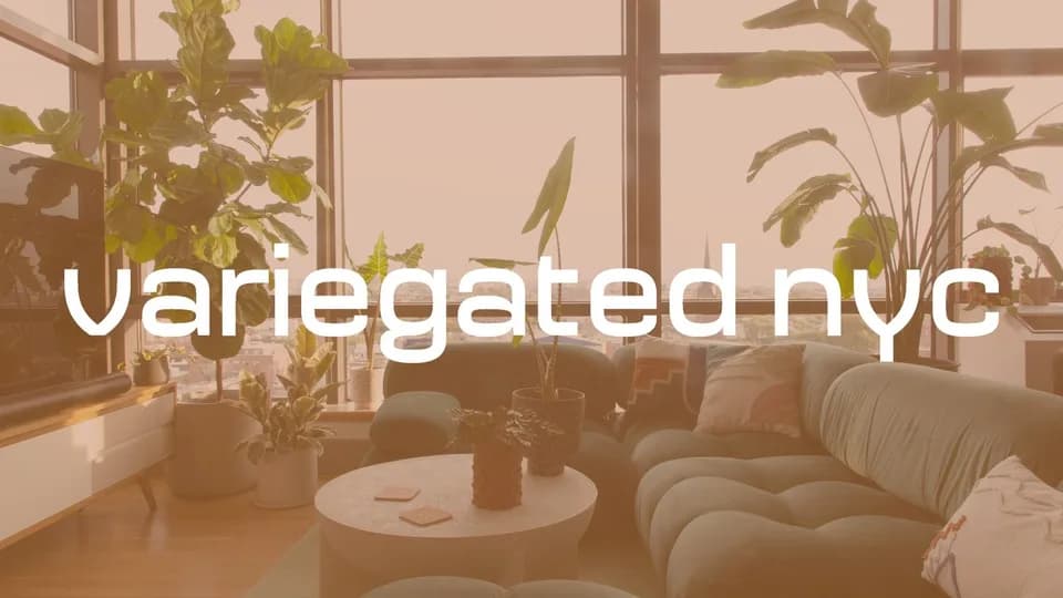Variegated NYC - Interior Plant Design & Plant Rentals plant shop in Brooklyn, New York