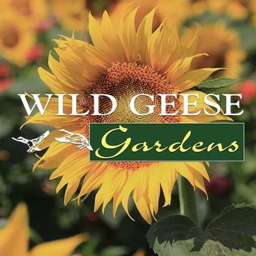 Wild Geese Gardens plant shop in Kalispell, Montana