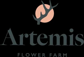 Artemis Flower Farm plant shop in Longmont, Colorado