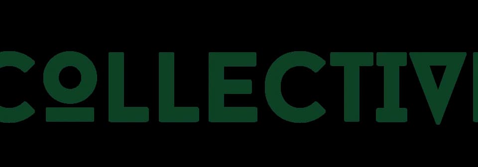 B Collective plant shop in Chicago, Illinois