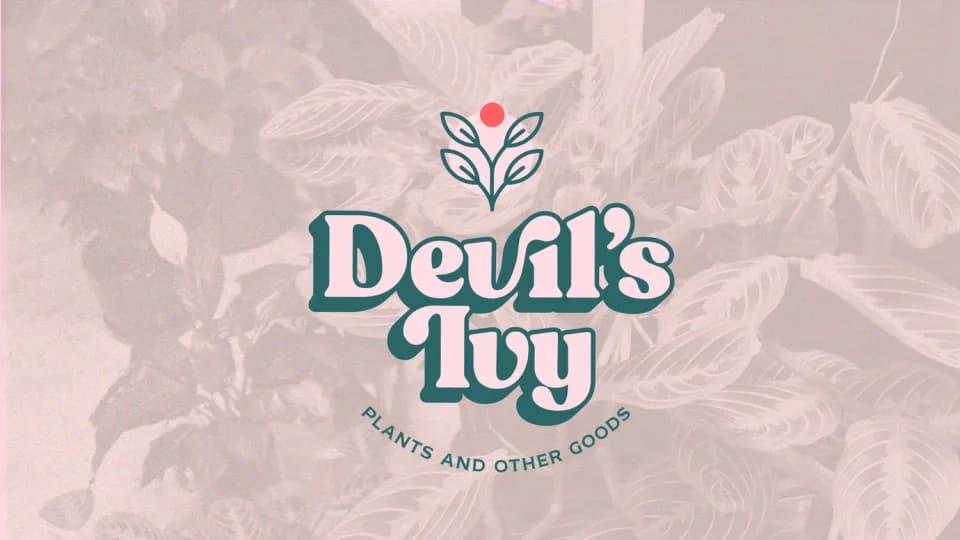 Devil's Ivy plant shop in Denver, Colorado