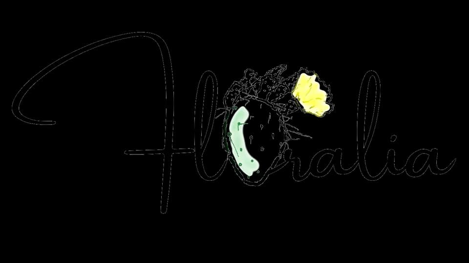Floralia Nursery plant shop in Spokane, Washington