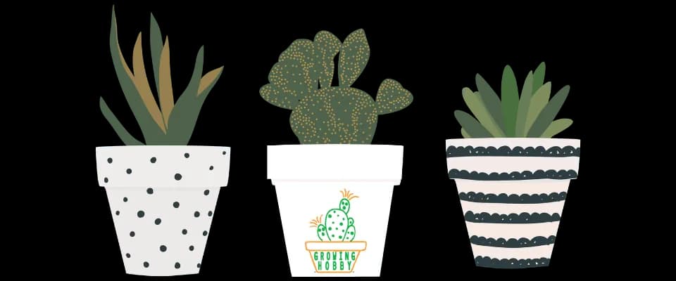 Growing Hobby plant shop in Florence, South Carolina