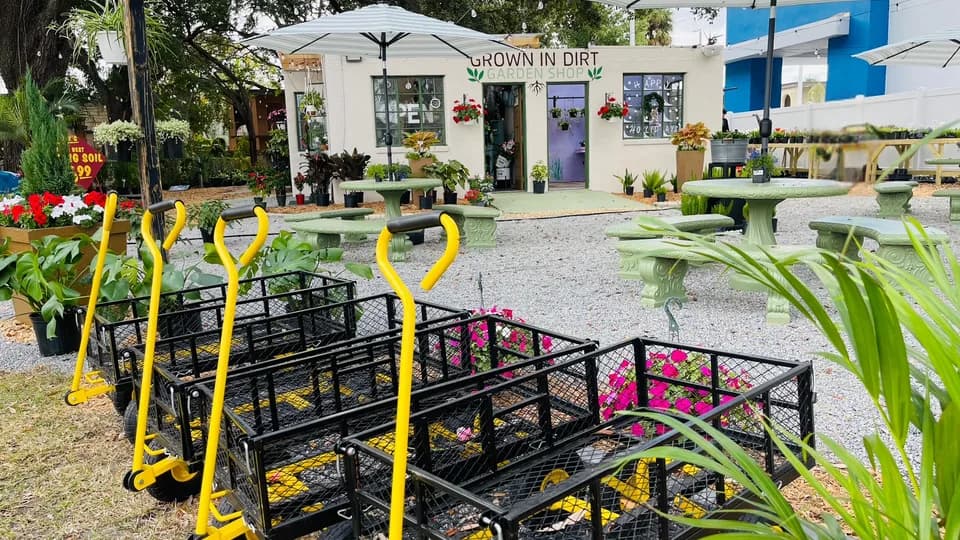 Grown In Dirt Garden Shop plant shop in Tampa, Florida