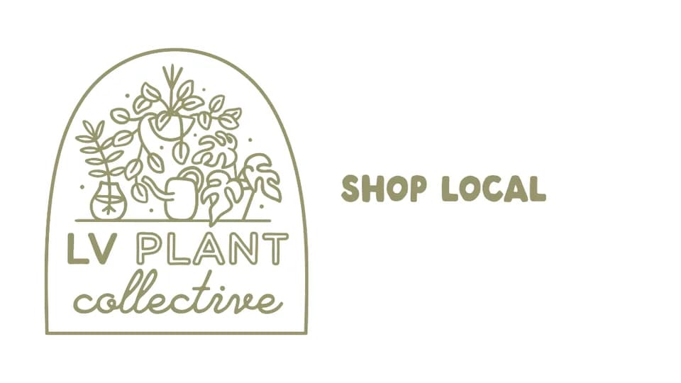 LV Plant Collective plant shop in Las Vegas, Nevada