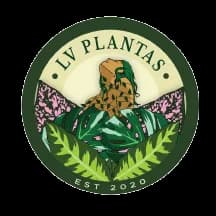 LV Plantas Semi-Hydro Plant Shop plant shop in Las Vegas, Nevada