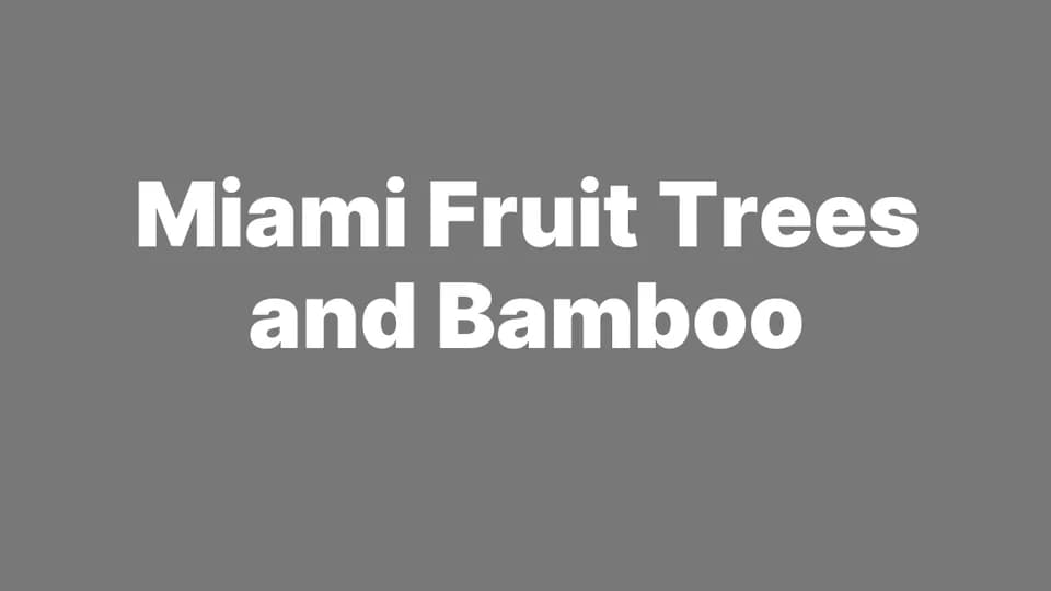 Miami Fruit Trees & Bamboo plant shop in Miami, Florida