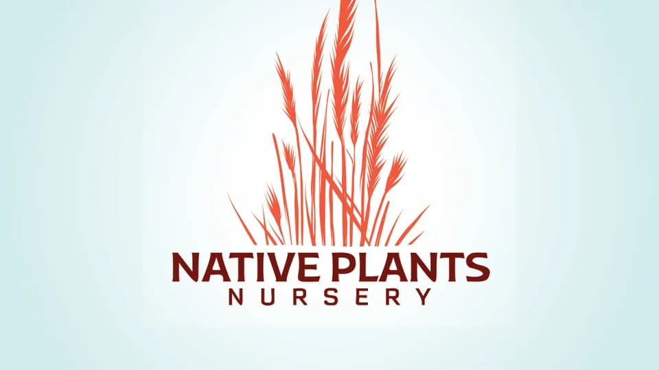 Native Plants Nursery plant shop in Oklahoma City, Oklahoma