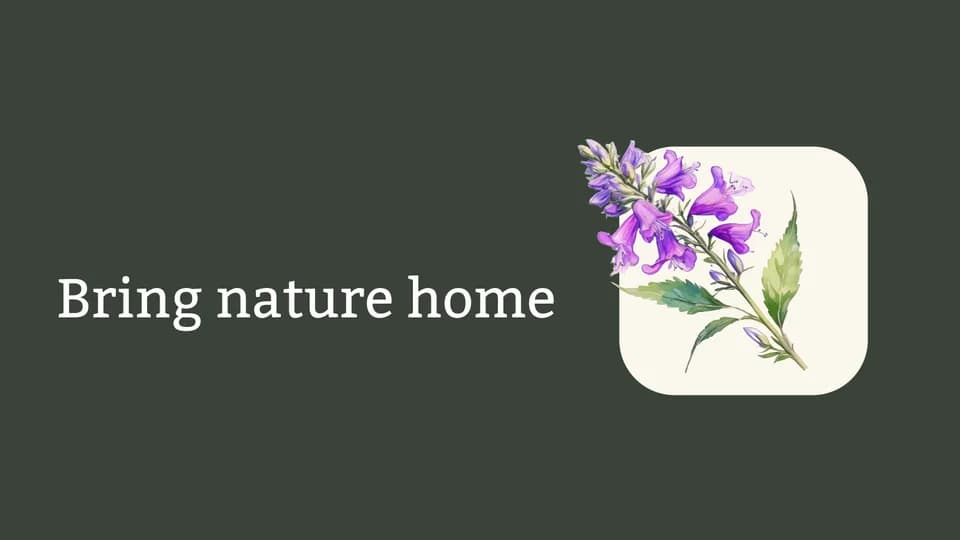 Native Utah Plants plant shop in Provo, Utah