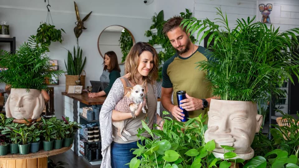 Plantstay plant shop in Gainesville, Florida