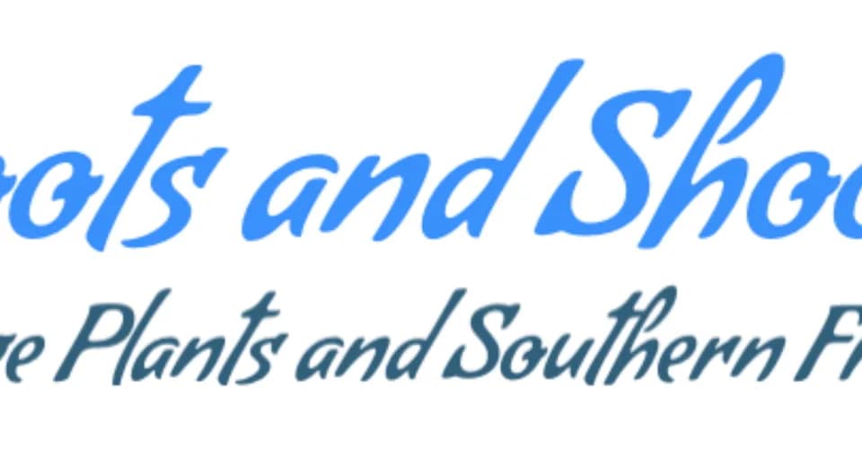 Roots and Shoots Nursery plant shop in Charleston, South Carolina