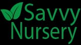 Savvy Nursery plant shop in San Francisco, California