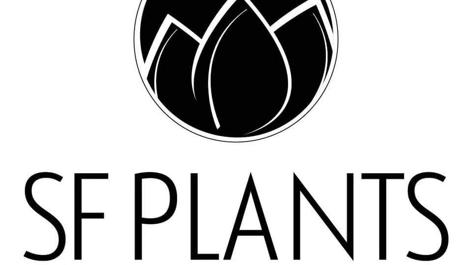 SF Plants plant shop in San Francisco, California