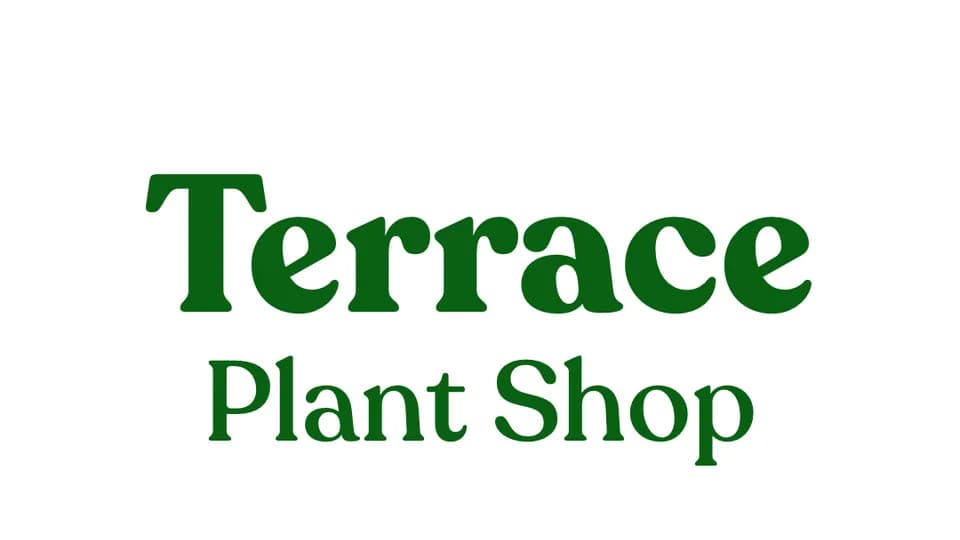 Terrace Plant Shop plant shop in Westfield, New Jersey